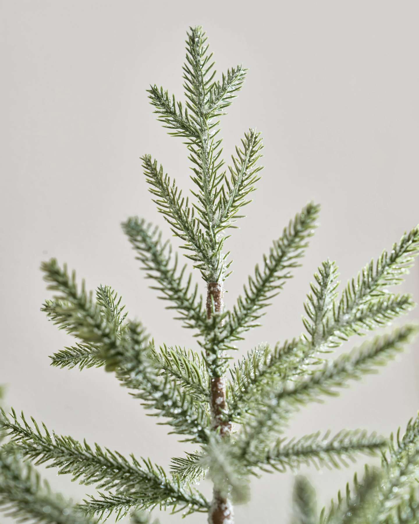 Tabletop Pine Trees with Moss Base, Set of 2
