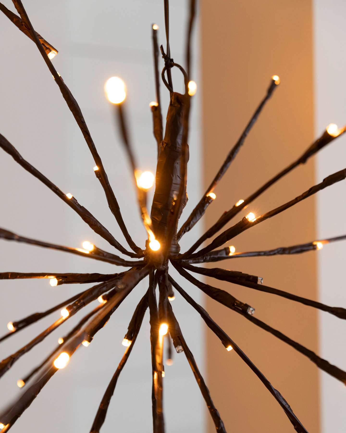 Balsam Hill Twig Outdoor LED Starburst Lights Set of 2 Closeup of Decorative Twigs