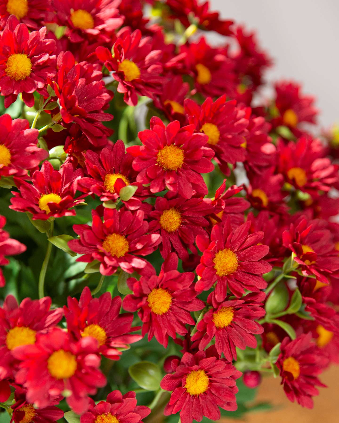 Balsam Hill 24-Inch Outdoor Red Potted Artificial Fall Foliage Mums Unlit Flower Closeup