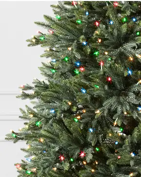 Colorado Mountain Spruce Flip Tree® Colorado Mountain Spruce Flip Tree®