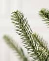 Potted Baby Sanibel Spruce by Balsam Hill Detail