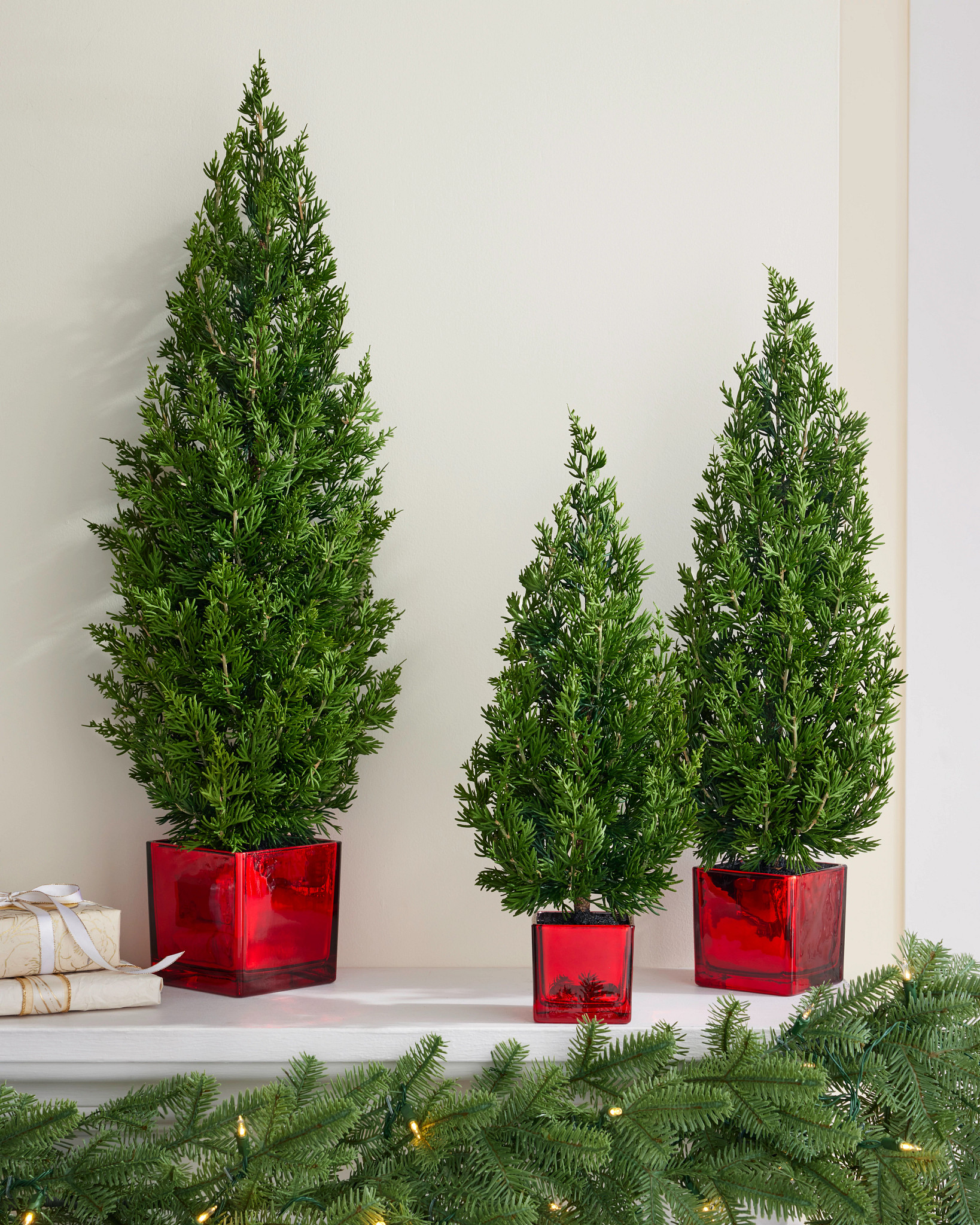 Evergreen Tabletop Tree Set