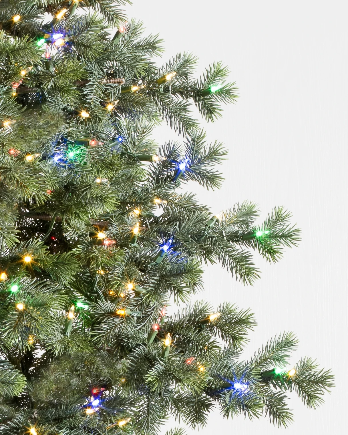 Yukon Spruce
