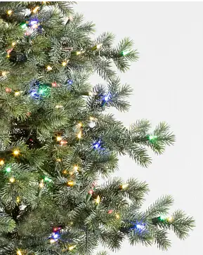 Yukon Spruce Yukon Spruce