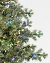 Yukon Spruce by Balsam Hill Color + Clear LED Closeup