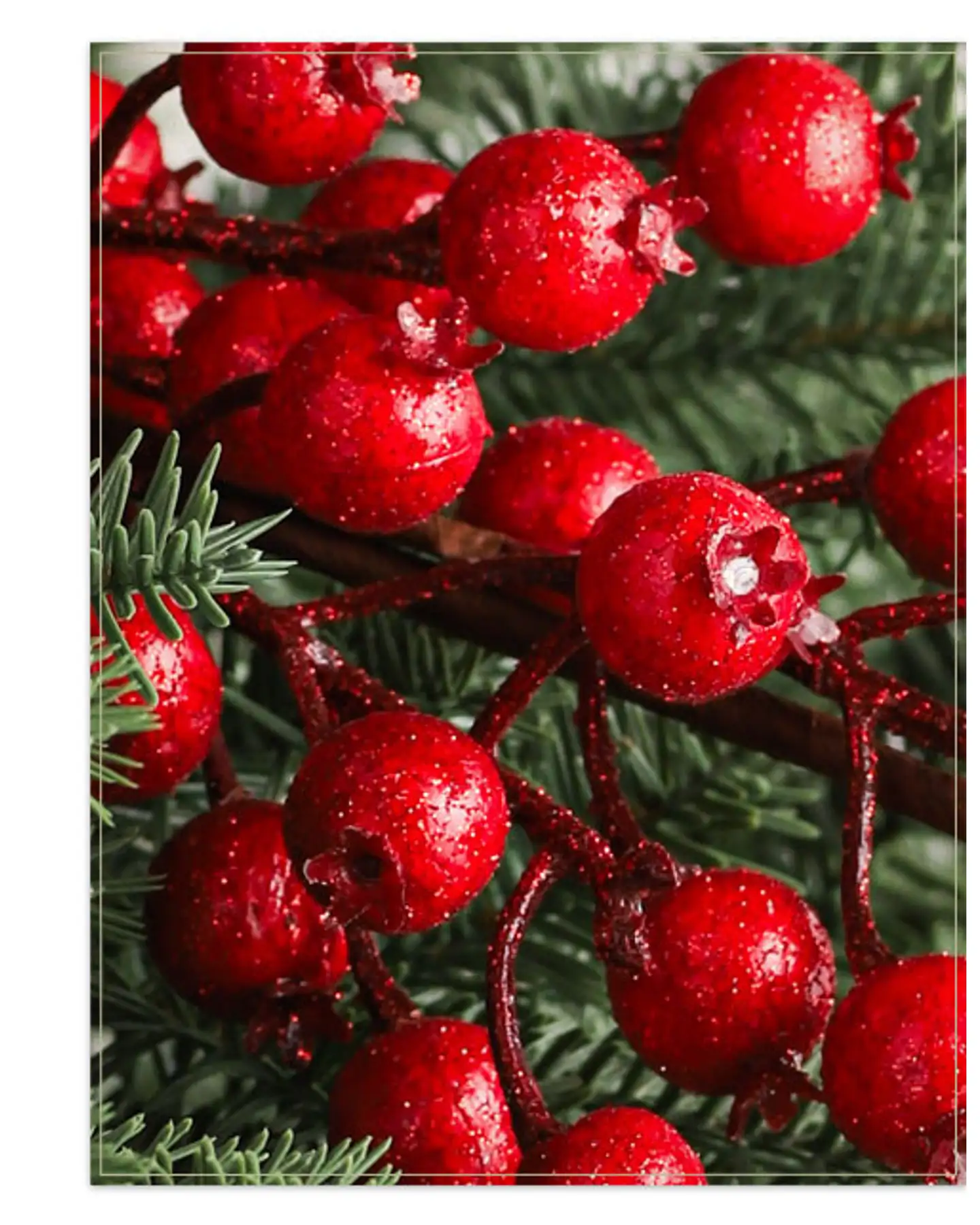 Weihnachtszweige mit roten Beeren und Blättern