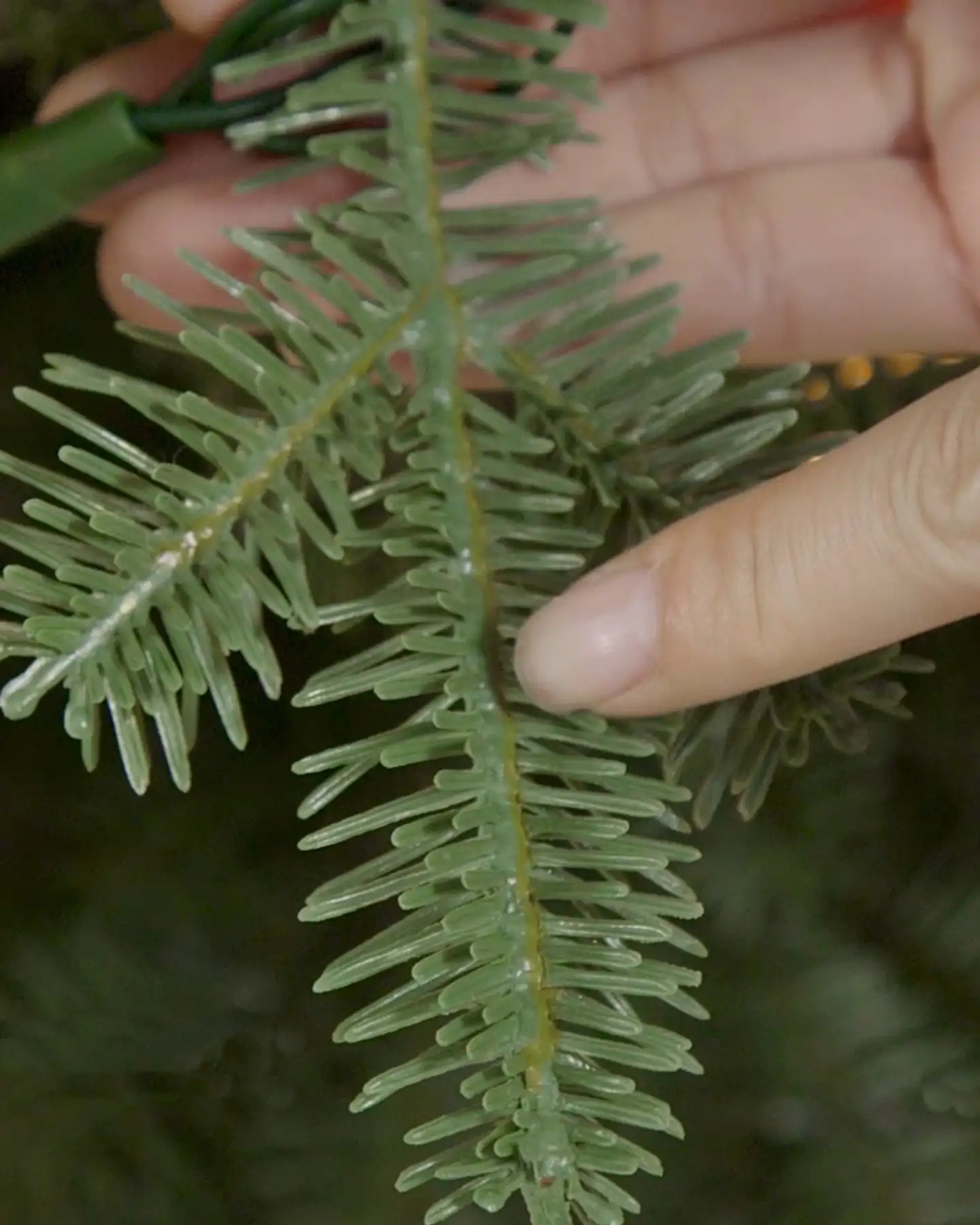 Balsam Hill BH Balsam Fir Flip Tree
