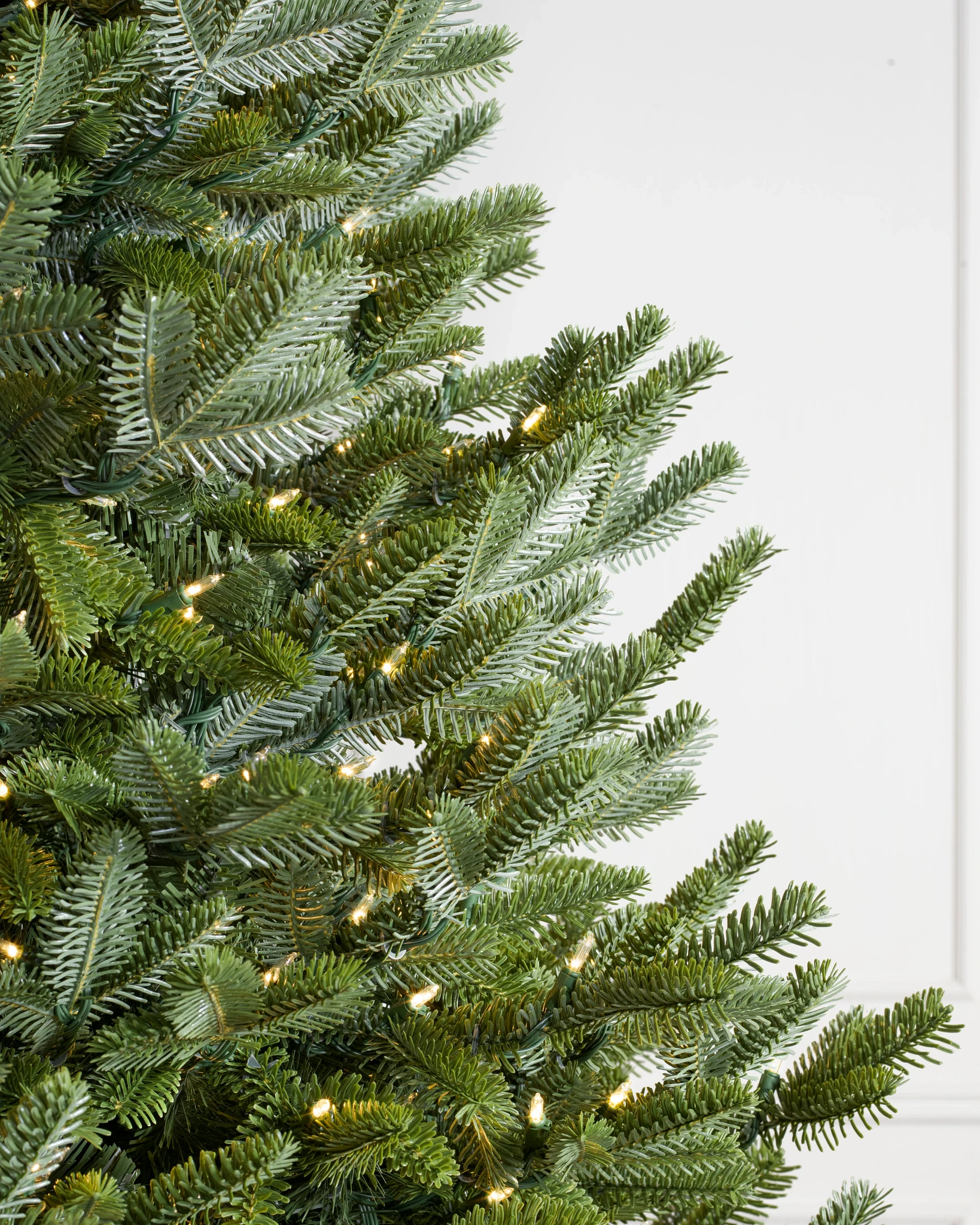 BH Fraser Fir Wide