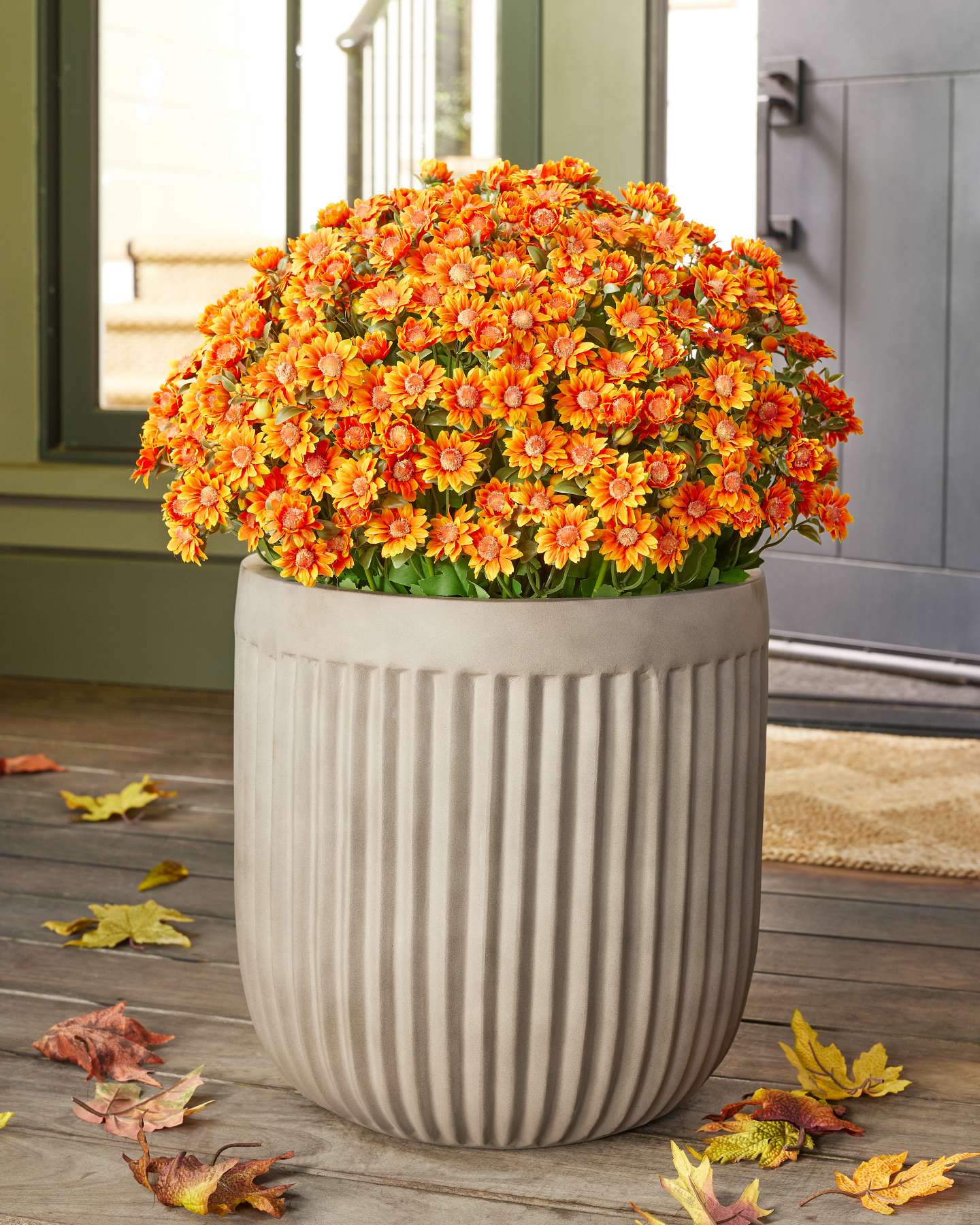 Balsam Hill 28-Inch Orange Outdoor Sunset Mums Pot Filler Lifestyle