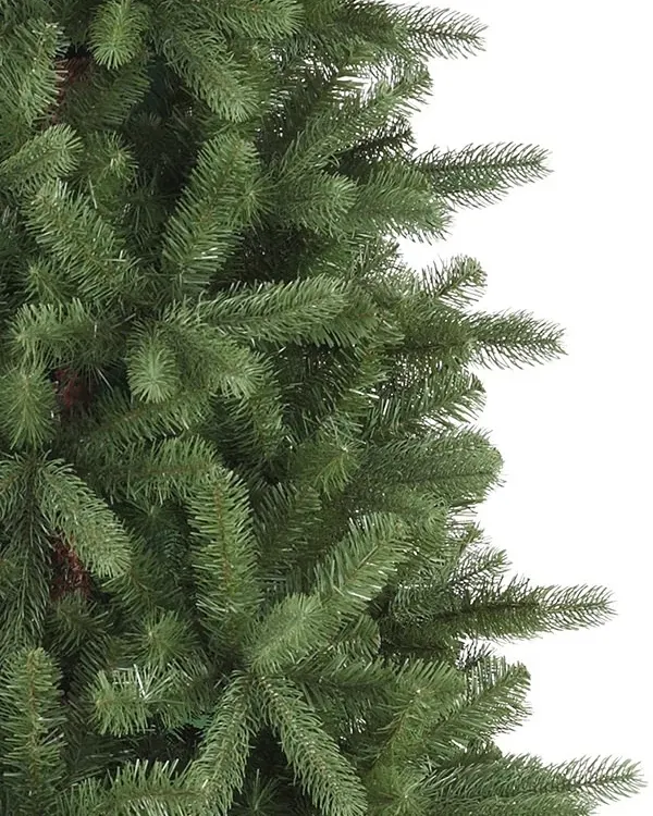 Bellevue Spruce