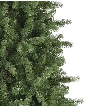Bellevue Spruce Bellevue Spruce