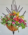 Outdoor Safe Florals by Balsam Hill Closeup 40