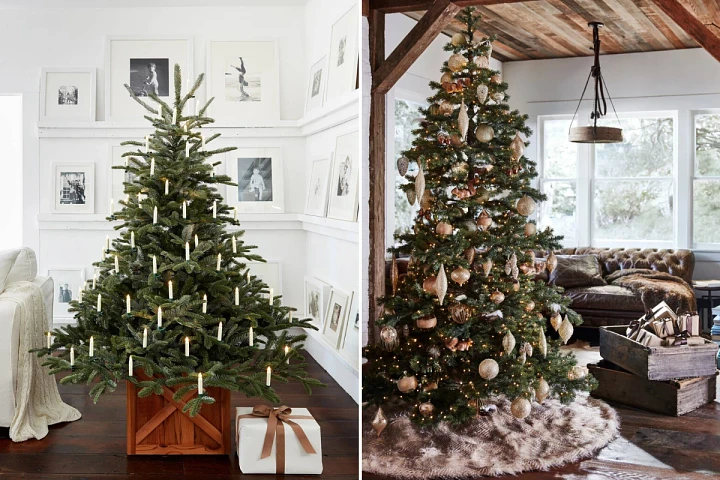 Side by side comparison of two Balsam Hill decorated Christmas trees