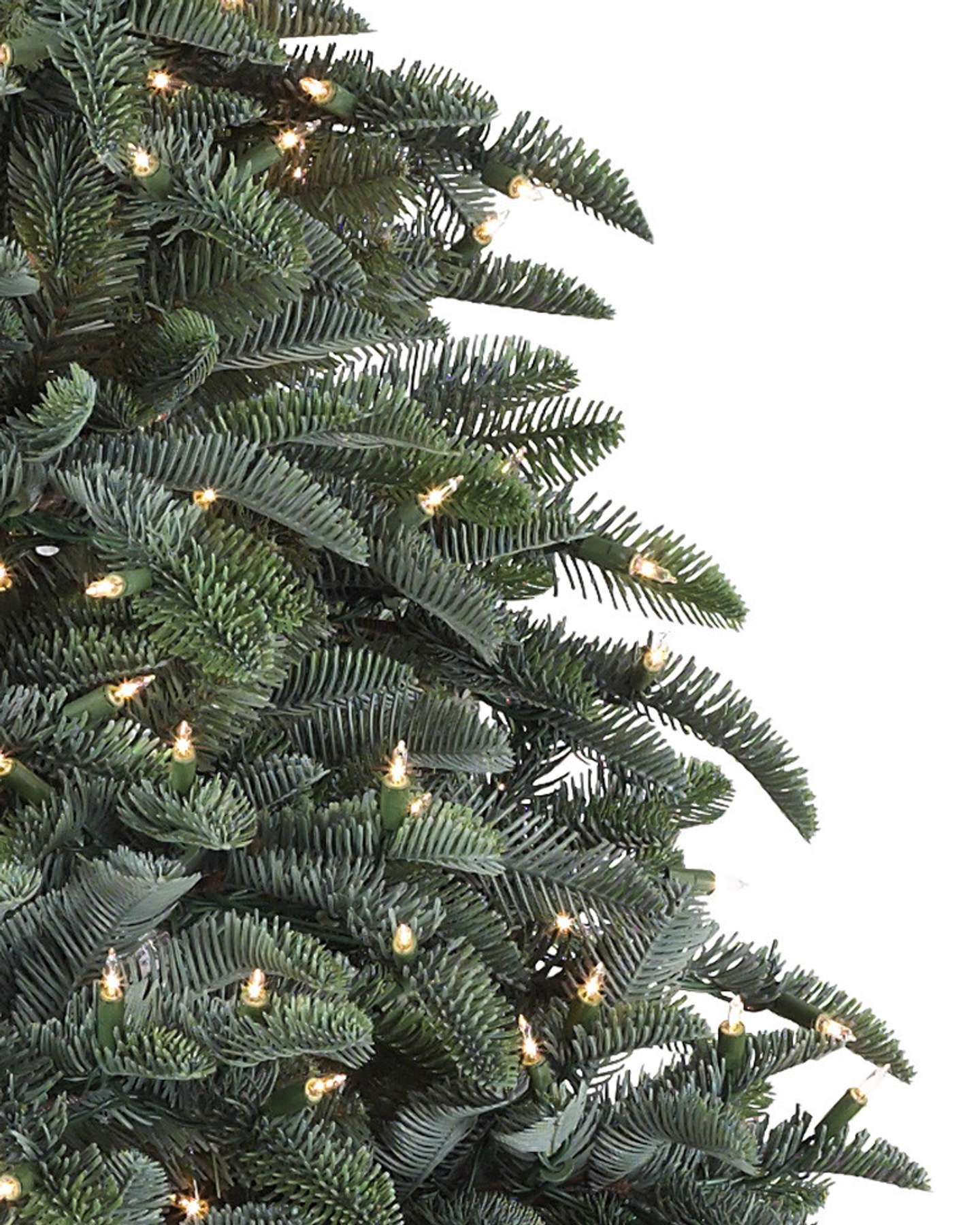 Sapin noble de 6 pi
