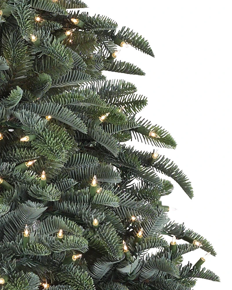 BH Noble Fir