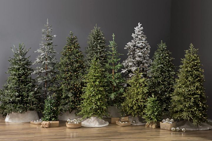 Assorted pre-lit artificial Christmas trees against dark gray walls
