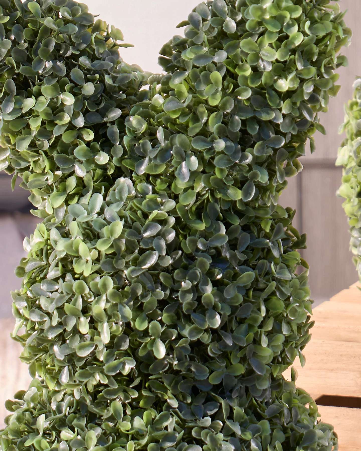 Bunny Boxwood Topiaries Set of 2 by Balsam Hill Closeup 10