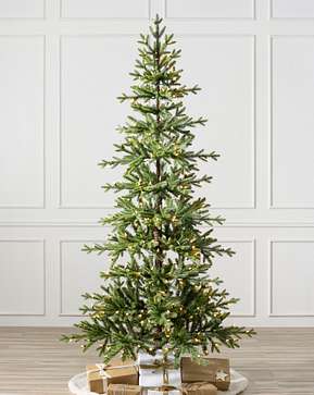 Alpine Tree Alpine Tree