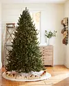 Vermont White Spruce Tree by Balsam Hill Lifestyle 120
