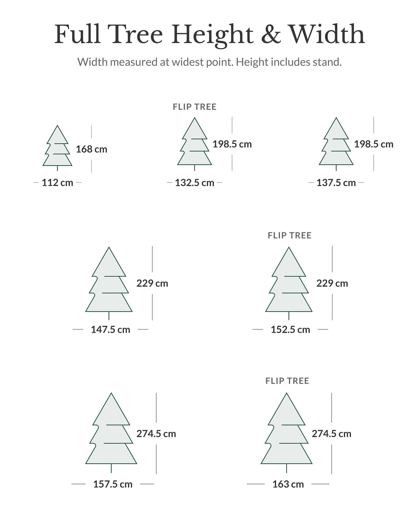 BH Fraser Fir