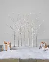 Winter Birch LED Tree Grove by Balsam Hill Lifestyle 10