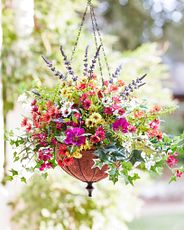 Flower basket with colorful blooms