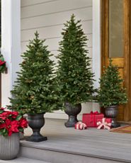 Three artificial Christmas trees in decorative pots displayed by the front door
