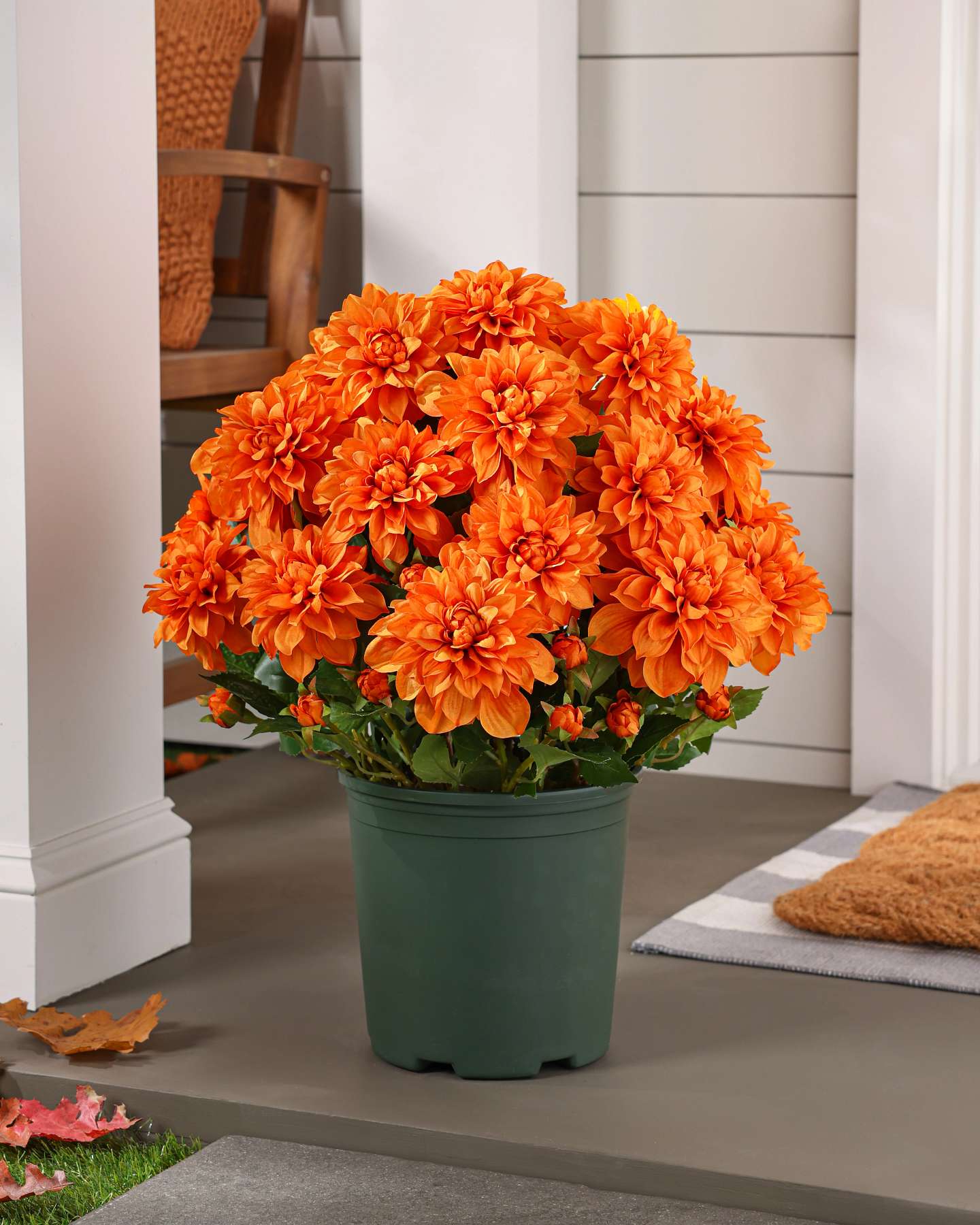 Balsam Hill Outdoor Vibrant Dahlias Artificial Fall Pot Filler Display