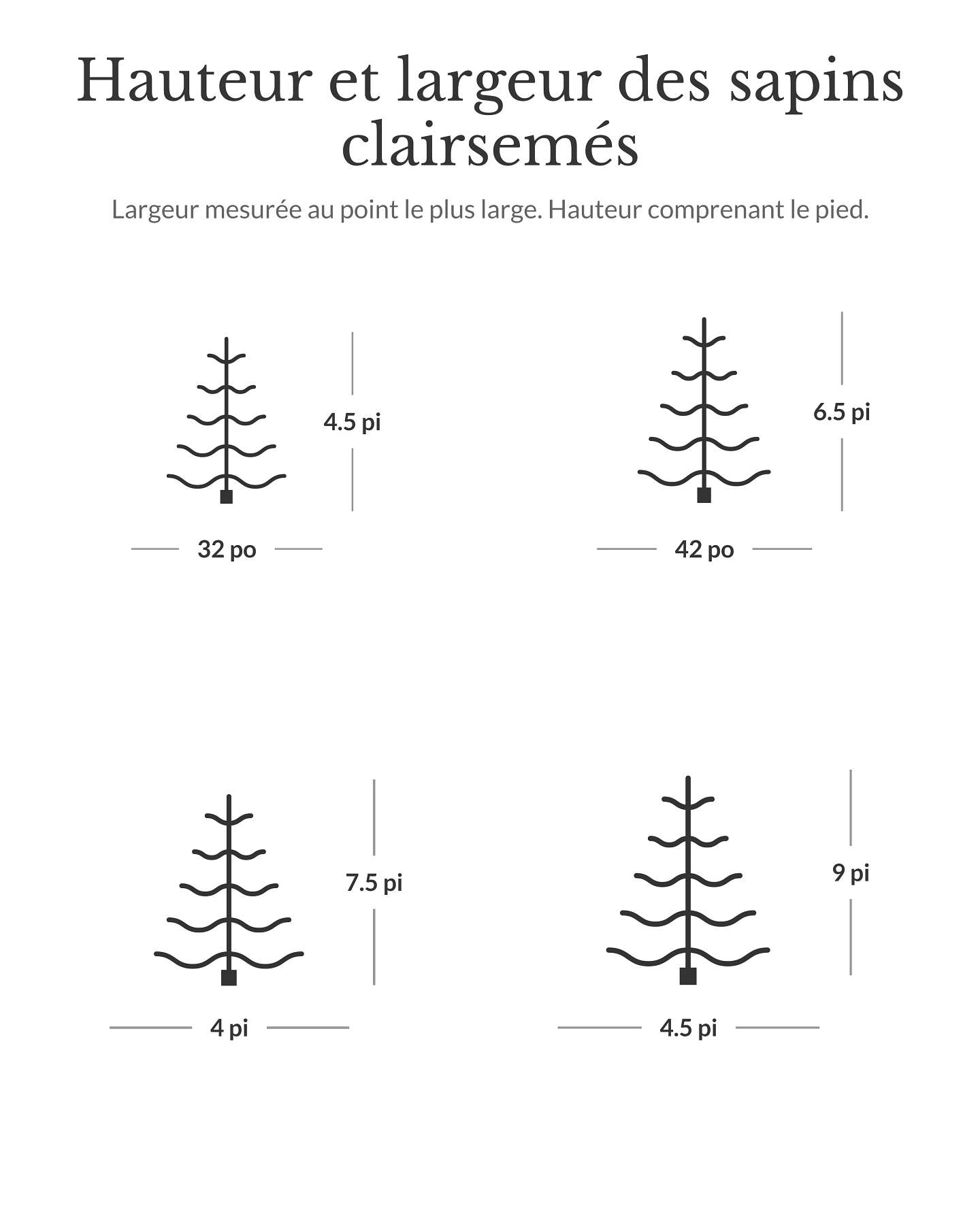 Sapin alpin de 4,5 pi