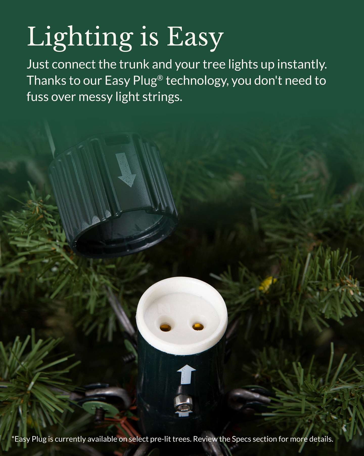 Balsam Hill Easy Plug Artificial Christmas Tree Special Feature Closeup