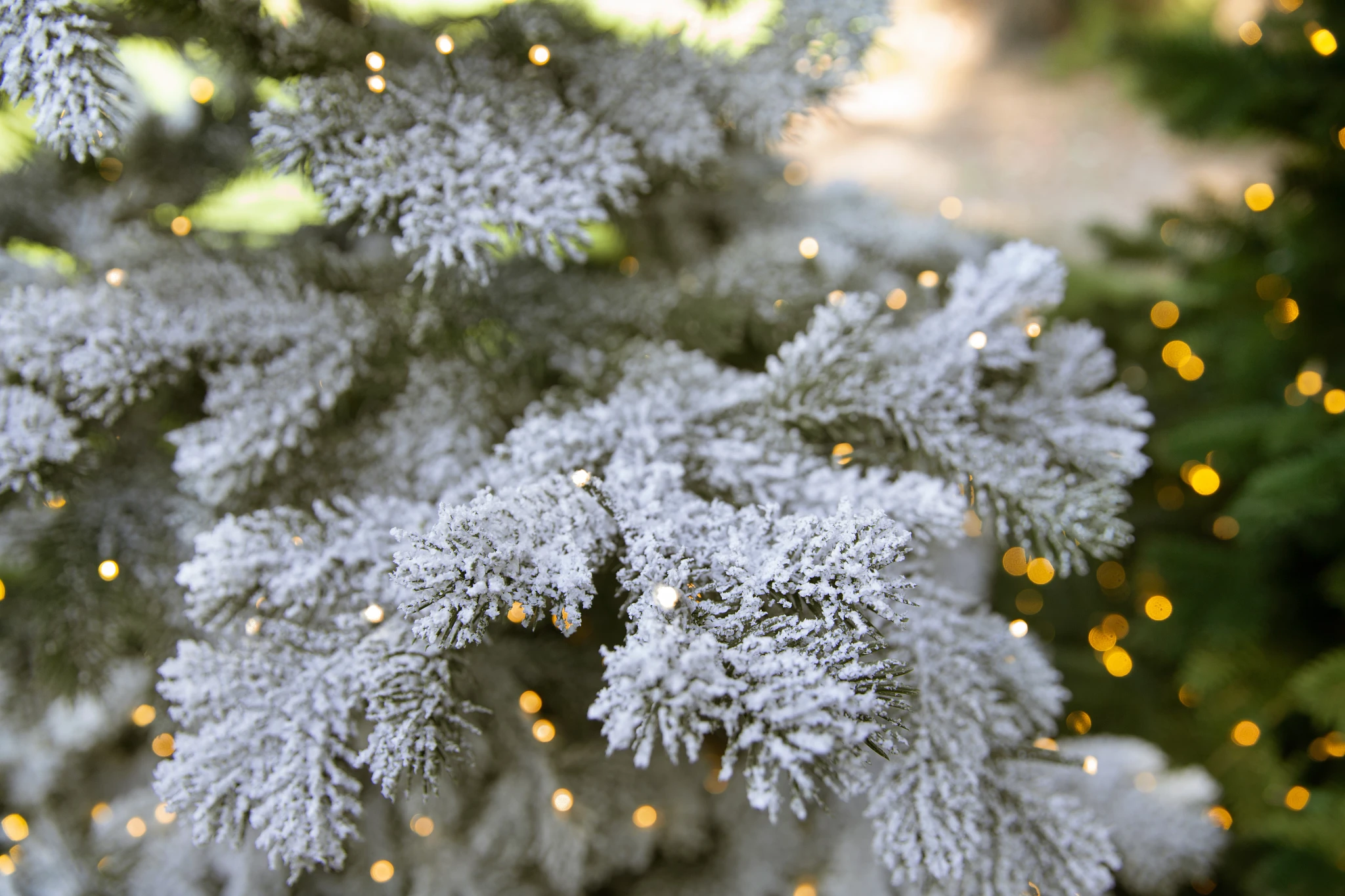 Close-up image of a pre-lit frosted artificial Christmas tree branch