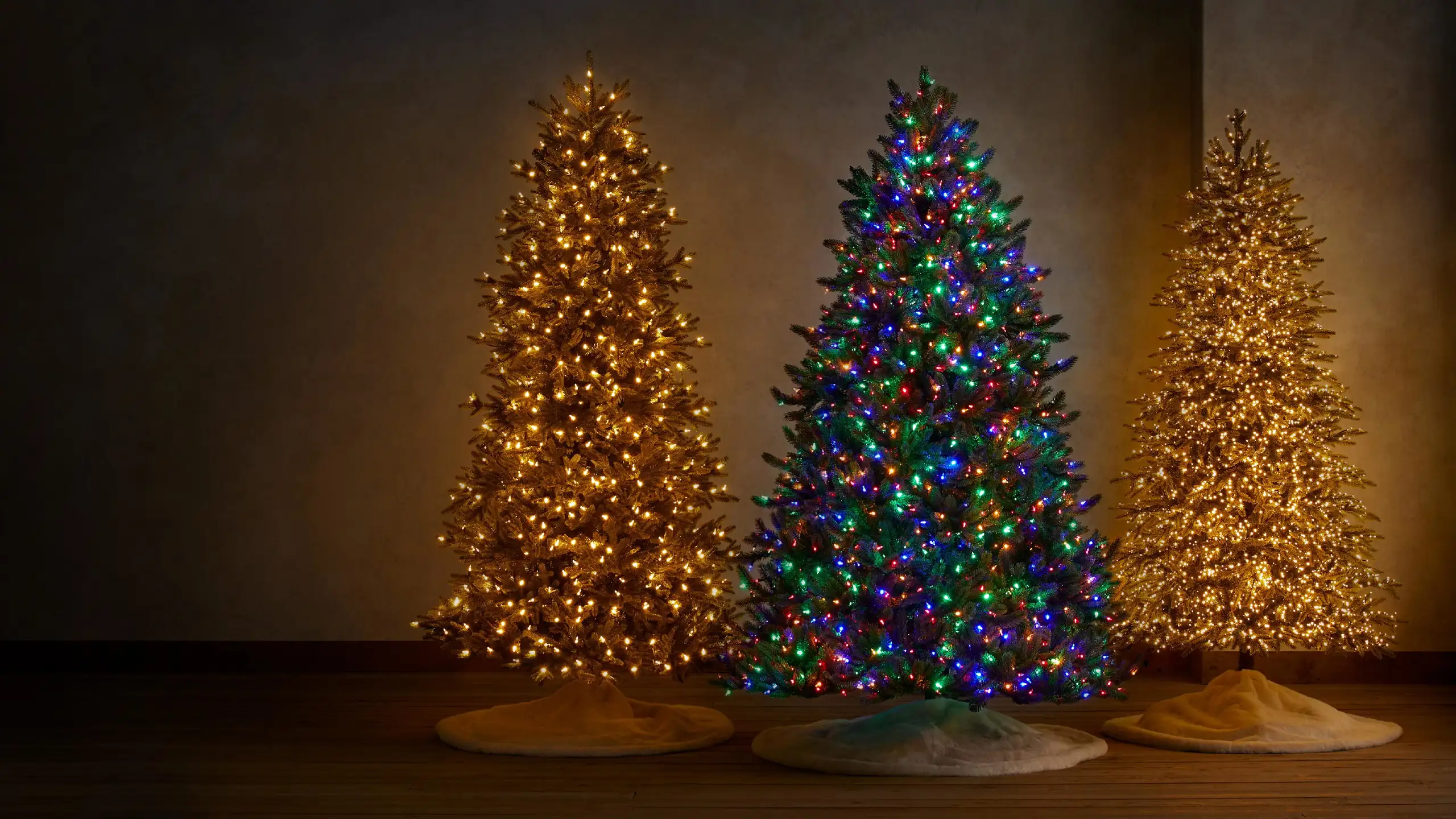 Group of pre-lit clear and multicolor Christmas trees in room