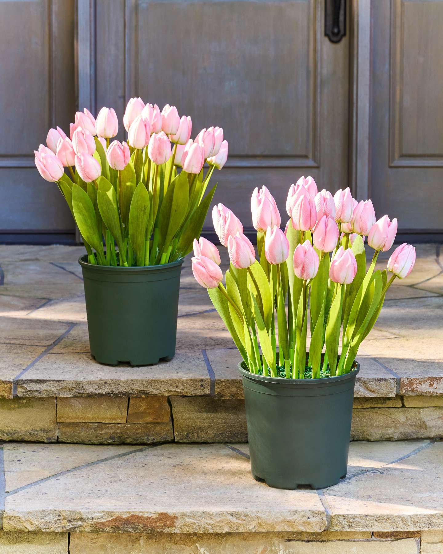 Balsam Hill Blush Outdoor Tulip Garden Pot Filler Set of 2 Outdoor Stairs Display
