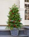 Winter Evergreen Foliage by Balsam Hill Lifestyle 40