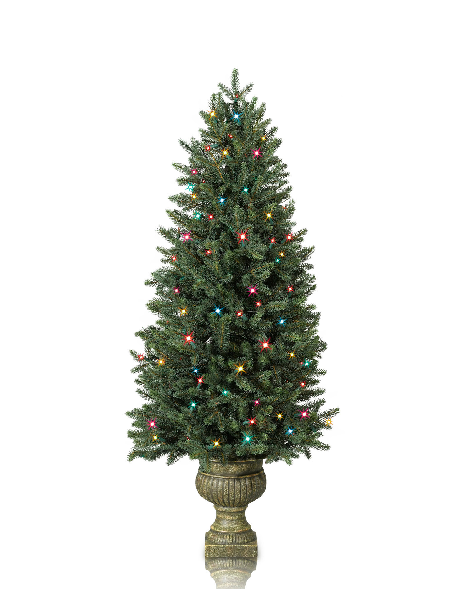 Colorado Mountain Spruce™ Potted Trees Balsam Hill