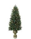 Potted Colorado Mountain Spruce 4 Ft Multi by Balsam Hill SSC 30