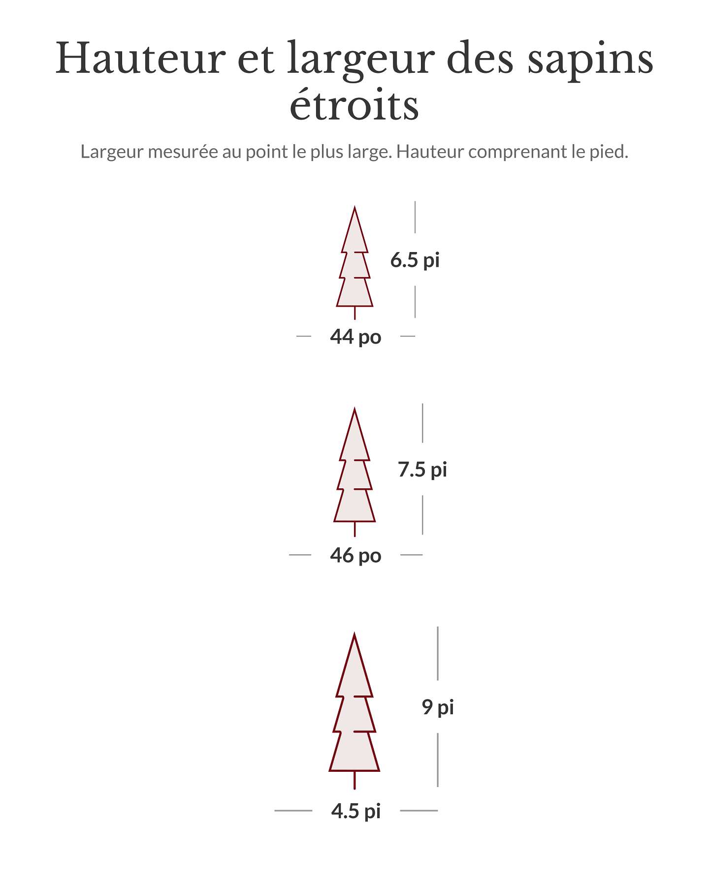Sapin Fraser étroit de 6,5 pi