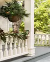 LED Mixed Pine Hanging Basket by Balsam Hill Lifestyle 10