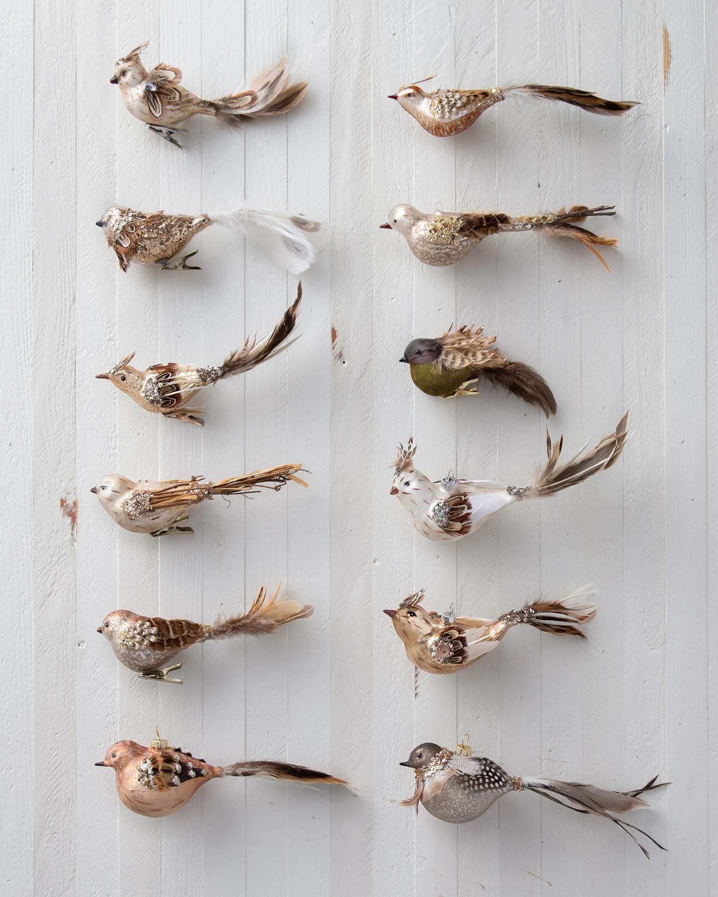 Balsam Hill Feathered Friends Christmas Ornament Set of 12 Display