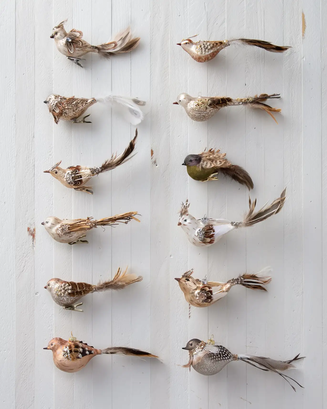 Image of Rustic Feathered Friends Ornament Set