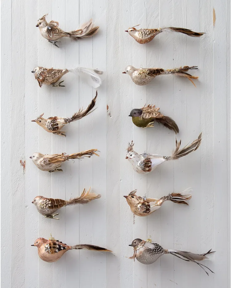 Feathered Bird Christmas Ornament Set Balsam Hill