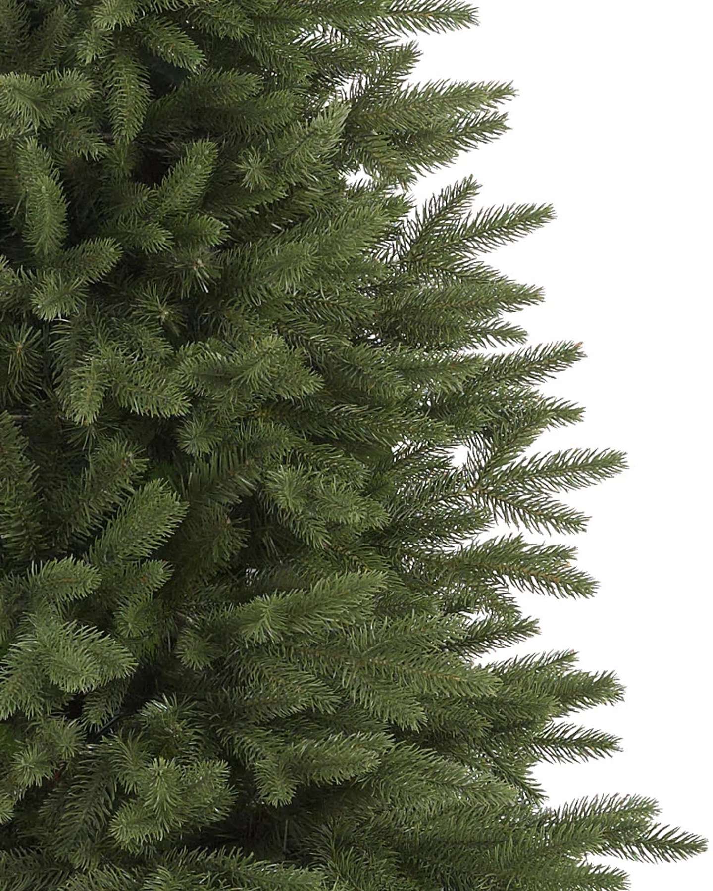 Branch Samples, Set of 10
