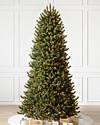 Vermont White Spruce Narrow by Balsam Hill SSC 10