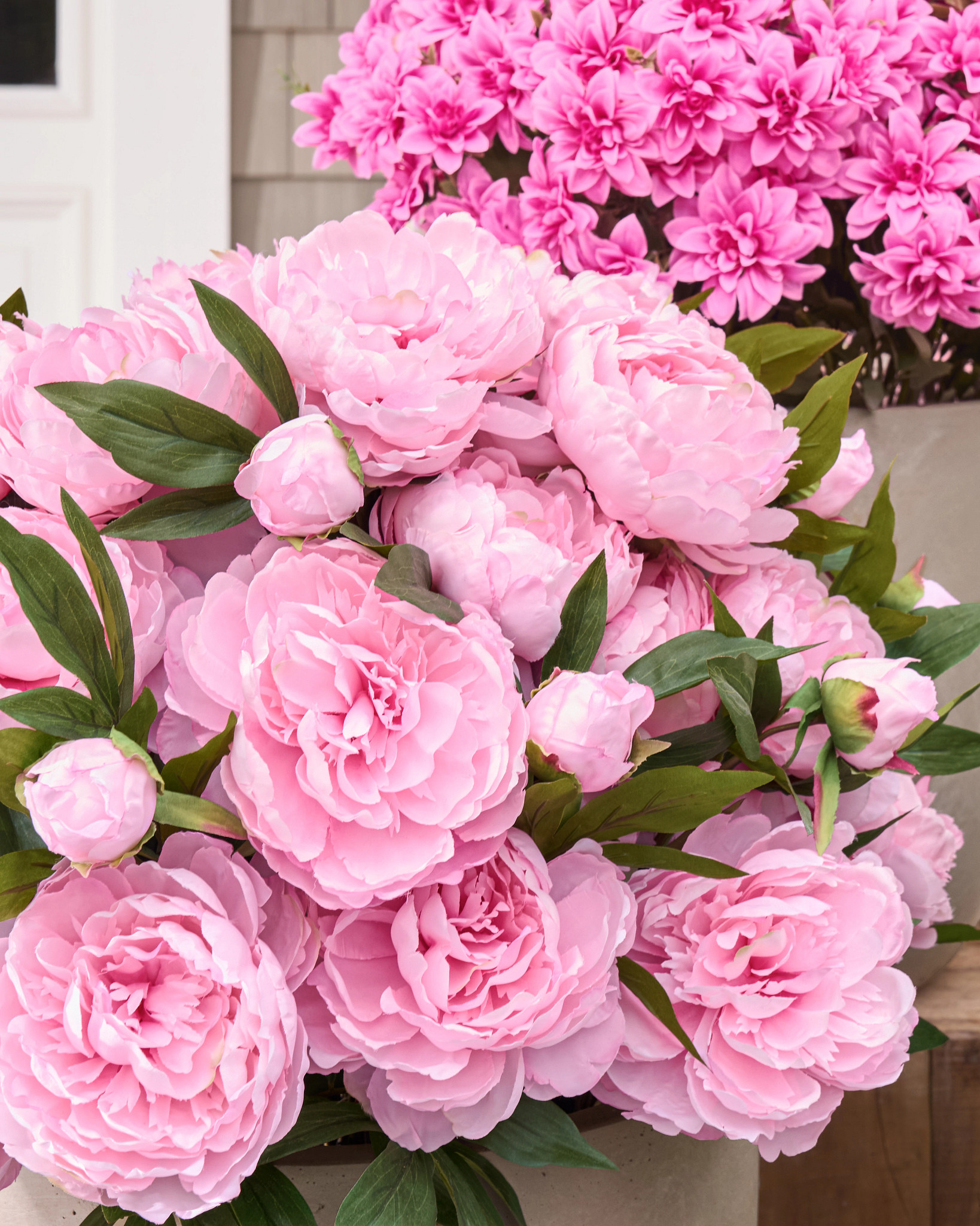 Outdoor Peony Paradise Spring Foliage | Balsam Hill