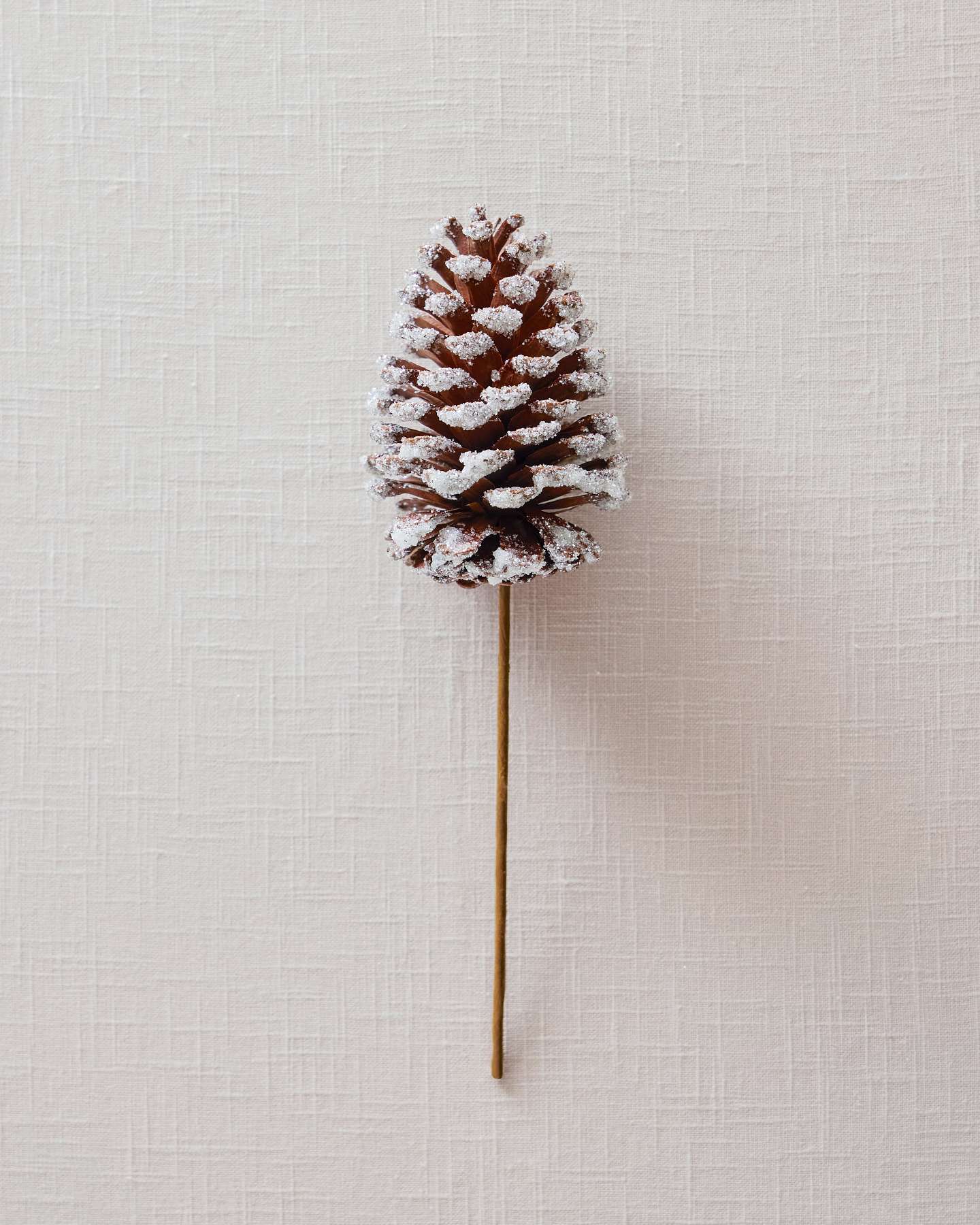 Balsam Hill Snowy Pinecone Picks Set of 12 Close Up Highlighting Frosted Details