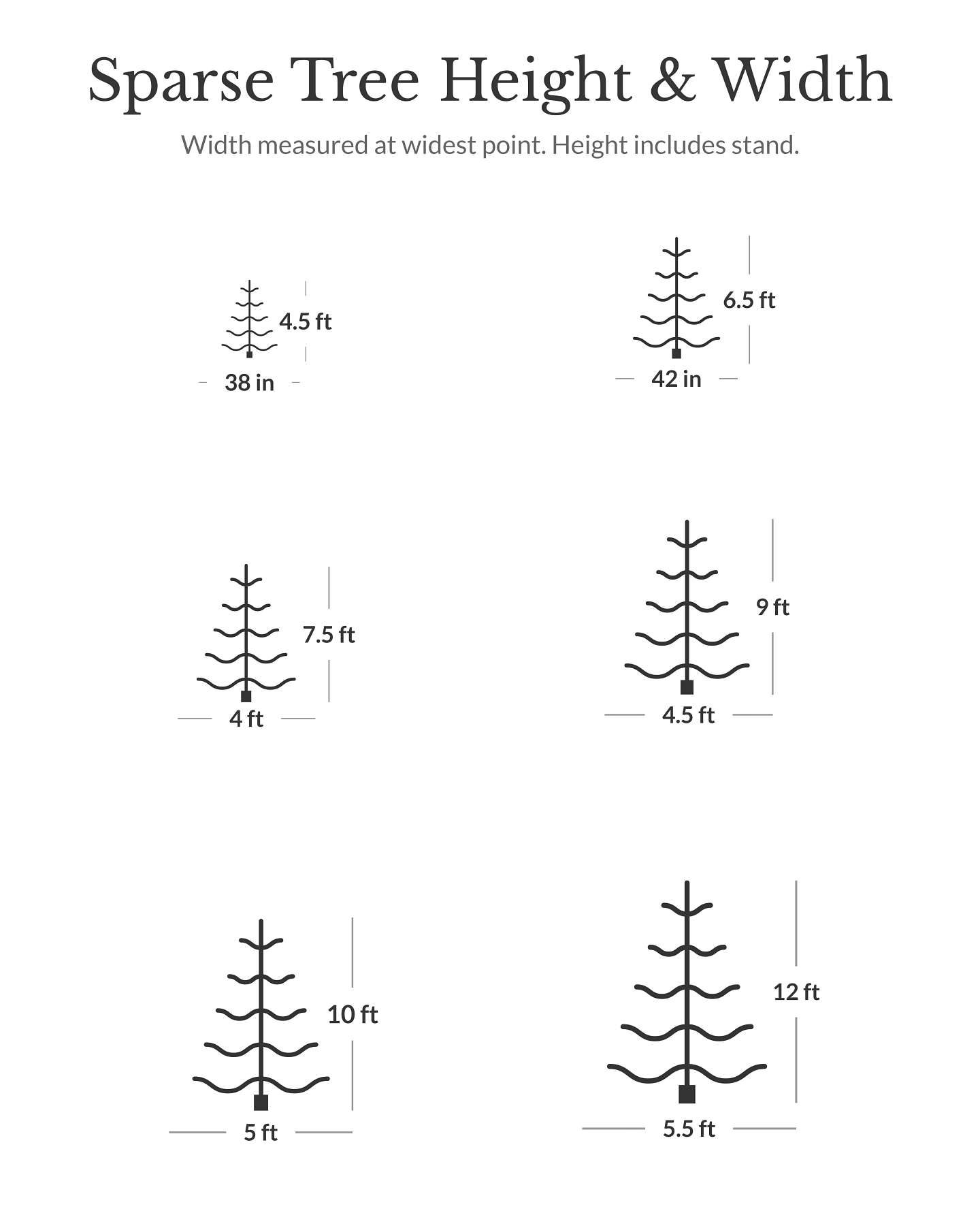 Alpine Balsam Fir