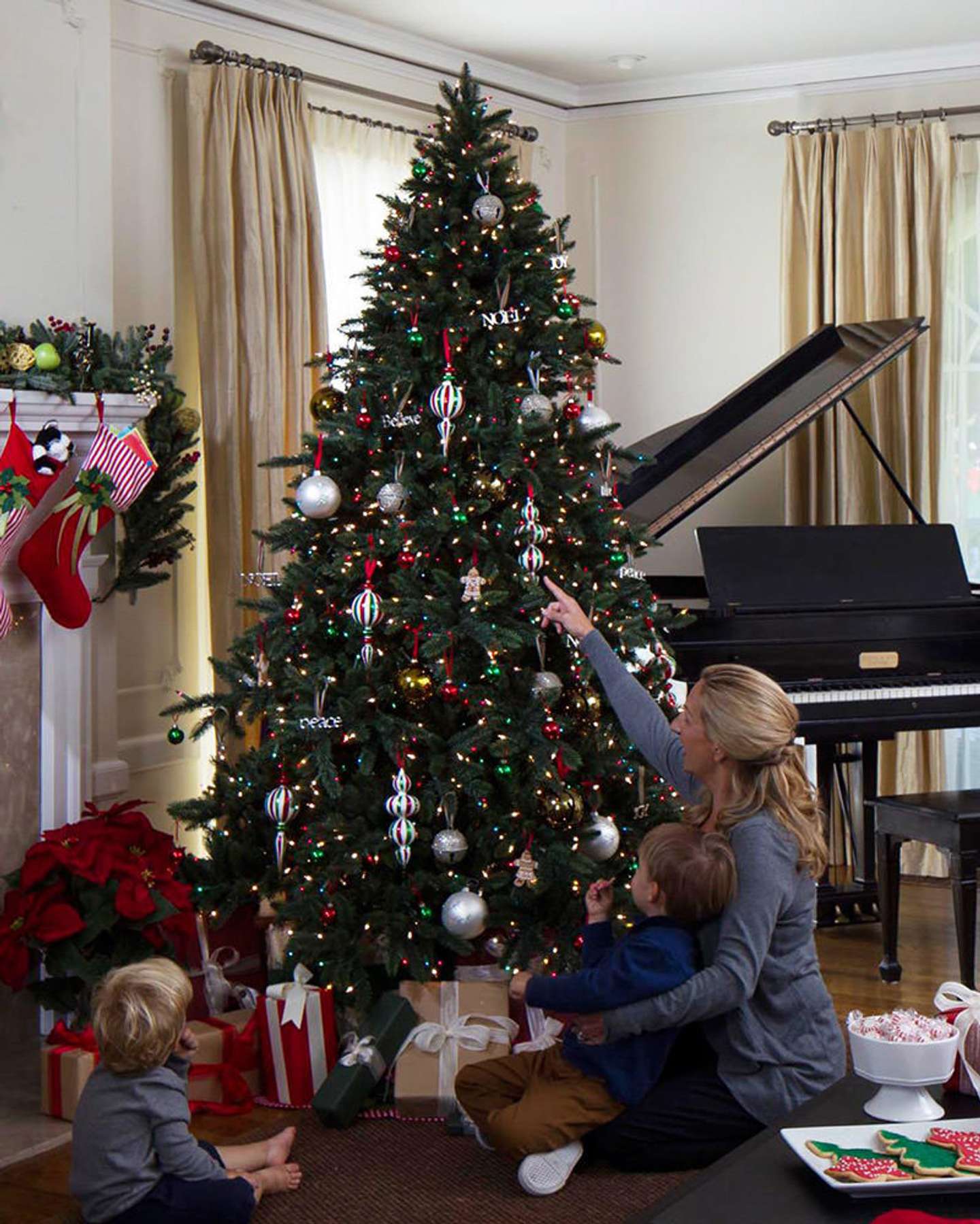 Balsam Hill California Baby Redwood Christmas Tree Classic Holiday Display