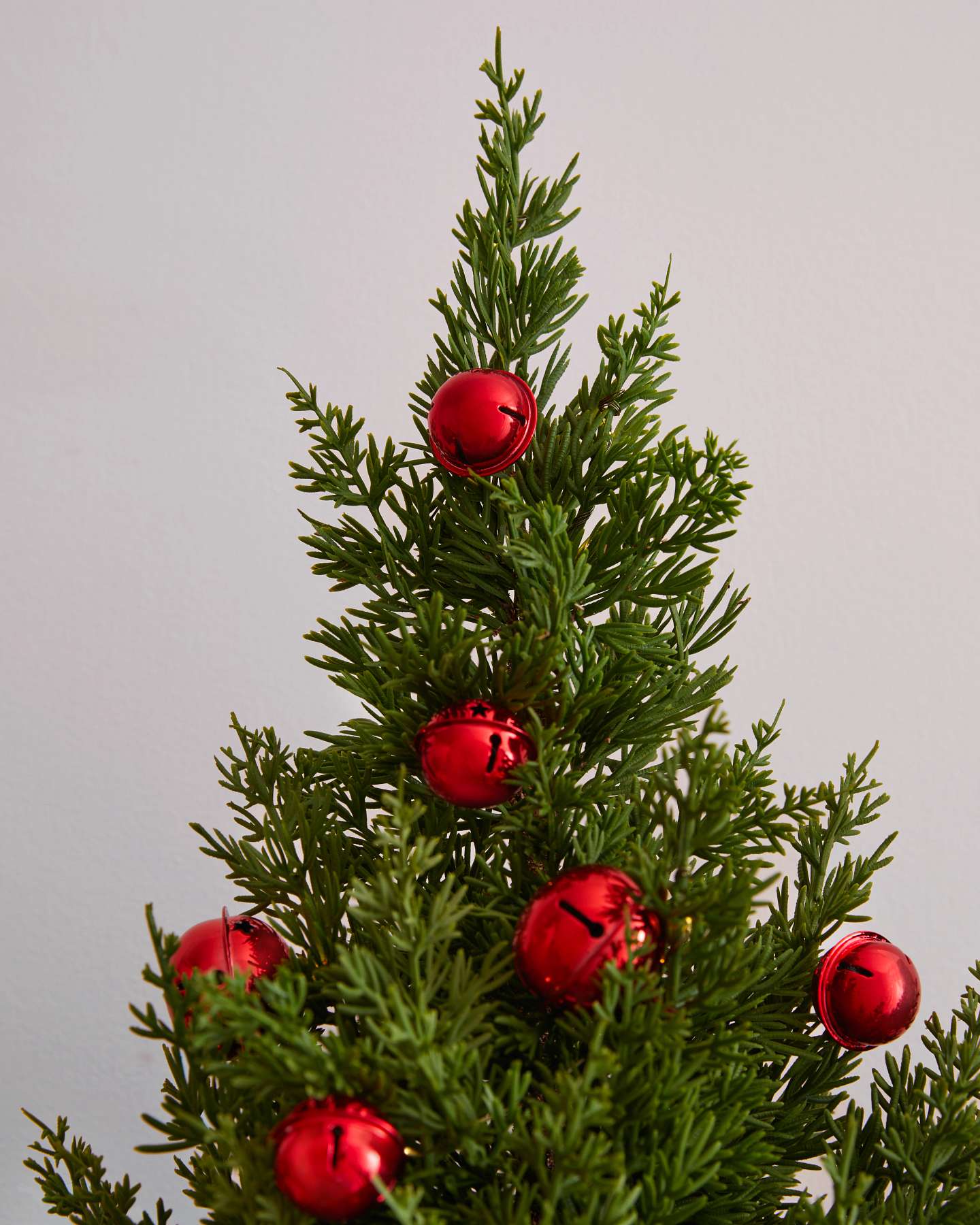 Jingle Bells Potted Pine Trees, Set of 2