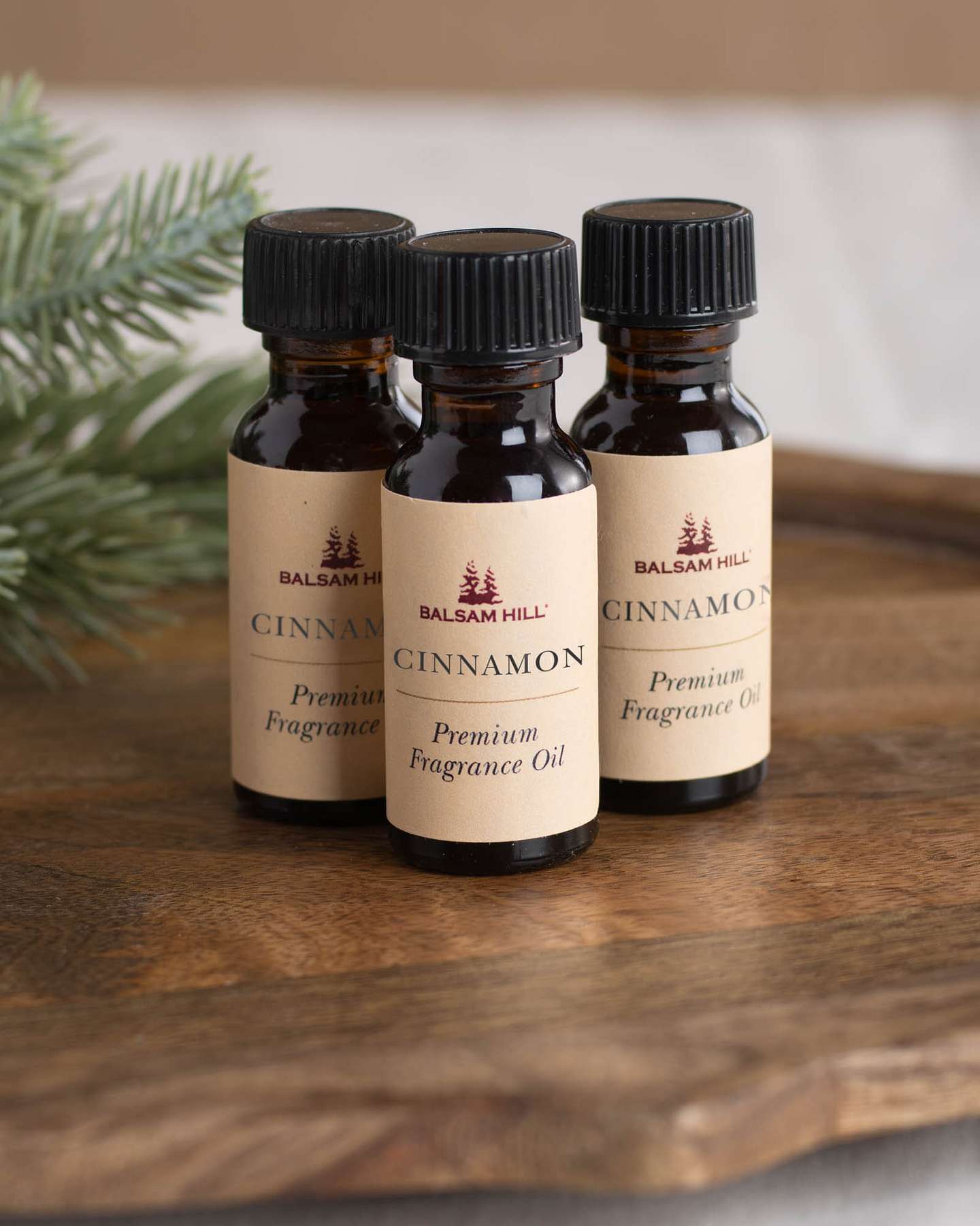 Balsam Hill Cinnamon Scents of the Season Cartridges Set of 3