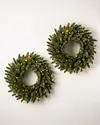 Vermont White Spruce Wreath 2 Pack by Balsam Hill SSC
